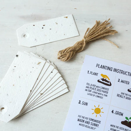 Plantable Seed Board Hang Tag
